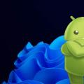 通过 WSA 抓取 android 的 https 网络请求包
